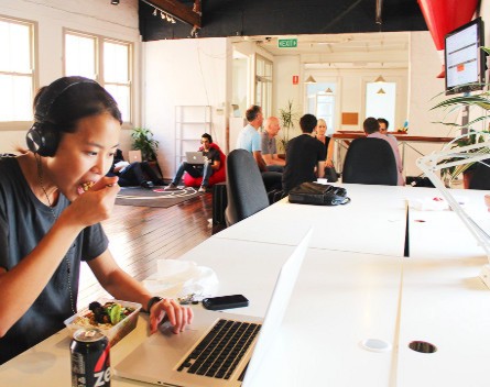 Pollenizer jumps on co-working bandwagon with The Hive