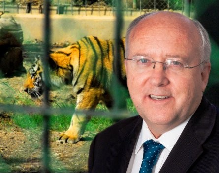 Toothless tigers: Greens lose bid to give the federal small business commissioner greater powers