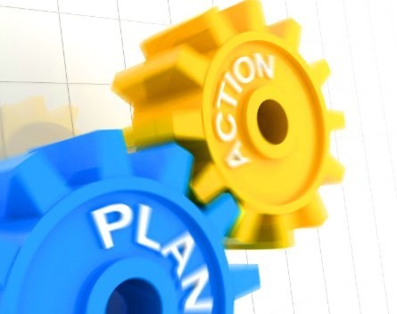 Have an action plan, not just a business plan