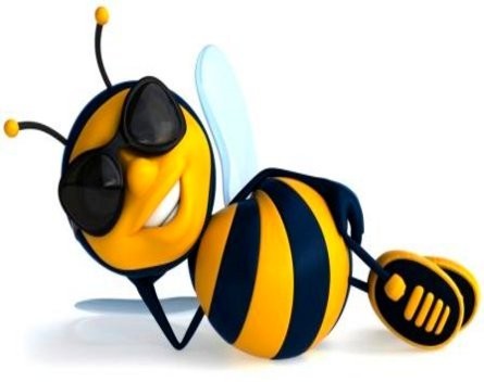 I’ve just been stung! How not to grow a business