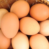 Is a national standard for free range eggs on the way?