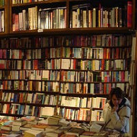 Pugs, cosplayers and charity: Aussie bookshops gear up for National Bookshop Day