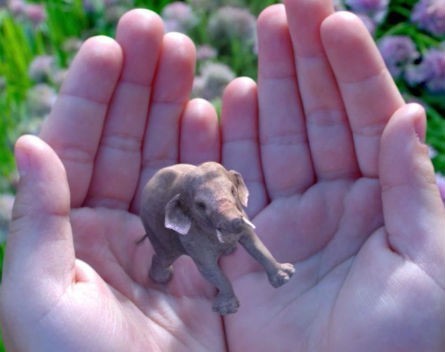 Immersive technology industry set to boom with Google investing in Magic Leap