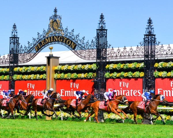 Admire Rakti or Fawkner, but no RBA Cup Day movement: Westpac’s Bill Evans