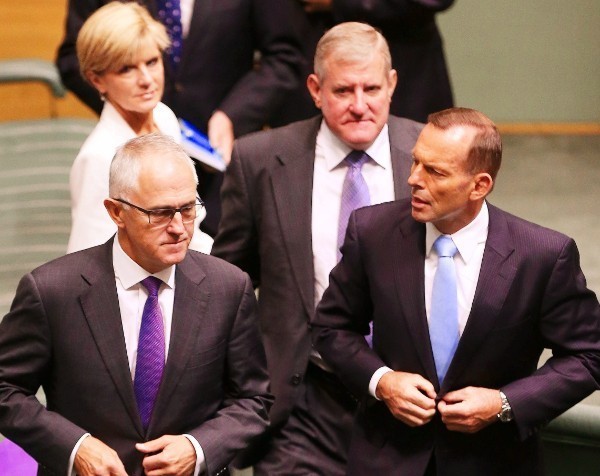 Can Tony Abbott hang on as Prime Minister?