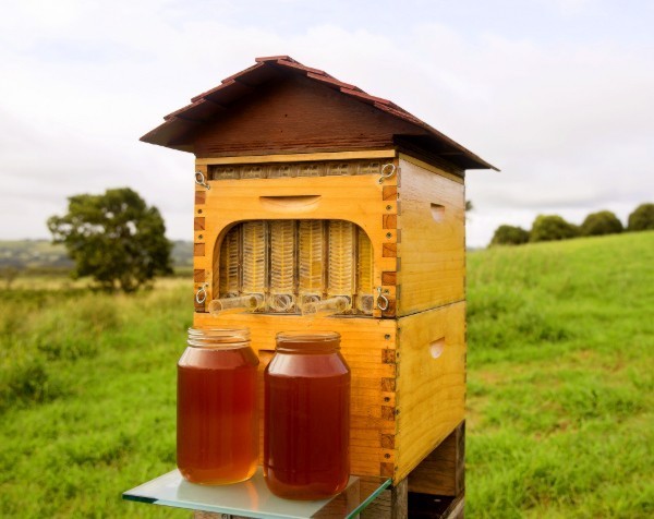 Aussie beekeeper entrepreneurs set record for the most money ever raised on Indiegogo