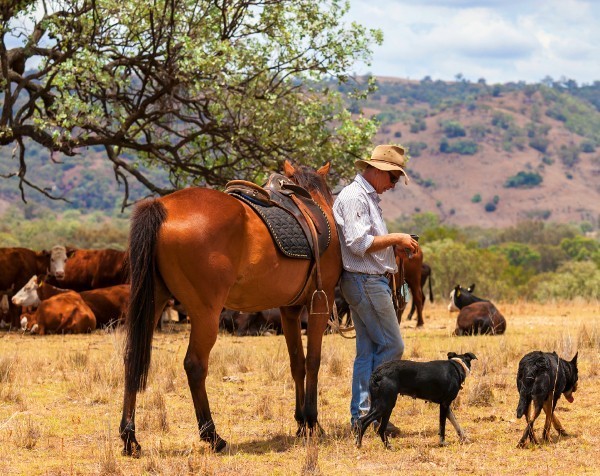 Rich List Kidman family list Australia’s largest private rural landholding