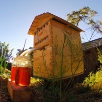 Record-breaking Aussie beekeeper entrepreneurs return to Indiegogo as production begins in Queensland