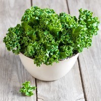 Bruce Billson tells National Press Club: “Small business is the new black, the new kale of the café scene, the yogalates”