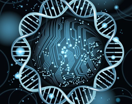 Organic ‘computers’ made of DNA could process data inside our bodies