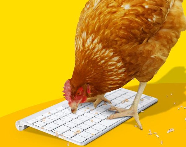 Chicken Treat aims for world first with fowl-mouthed Twitter account: Will pecks appeal sell?