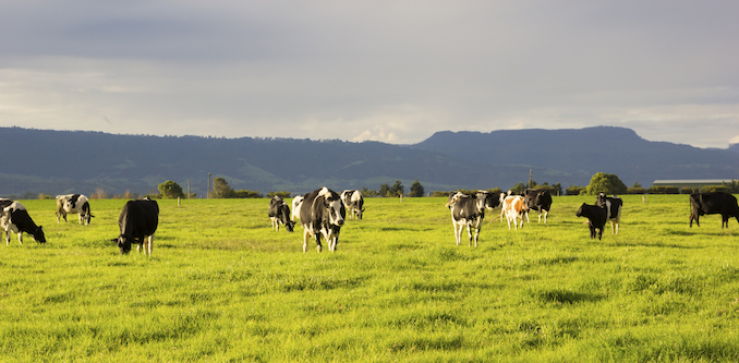 "Financial and emotional devastation": Farmers speak up about bank repossession tactics