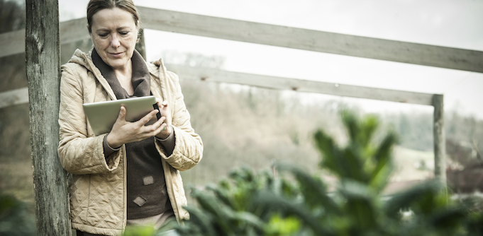 Want to know when your business will get the NBN? Look it up with this new search tool