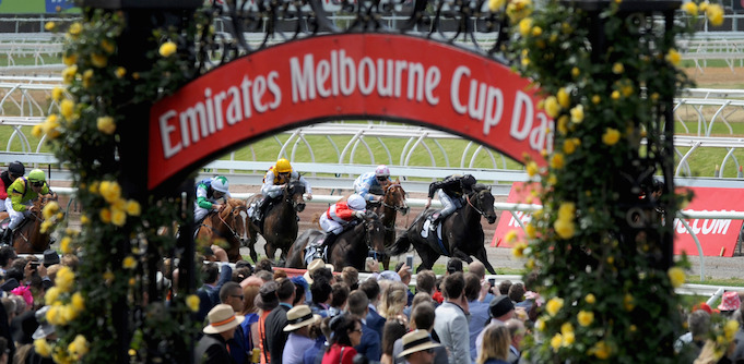 Melbourne Cup frenzy: The 2016 race by numbers