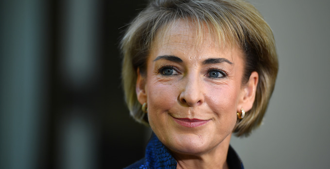 Employment minister Michaelia Cash accuses Labor of ignoring SMEs, as retailers push for two-year transition for penalty rates changes