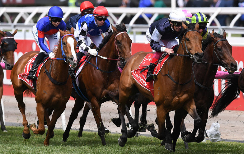 Does the Melbourne Cup slow small businesses? The race by numbers