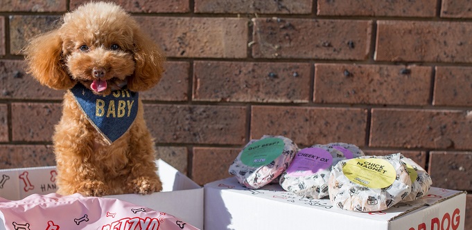 Melbourne business Petzyo launches to deliver personalised meals for your dog: Here are its ambitious growth plans