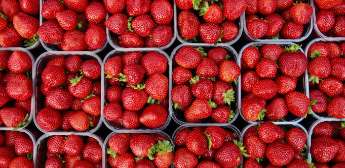 Family-owned strawberry farm collapses into voluntary administration