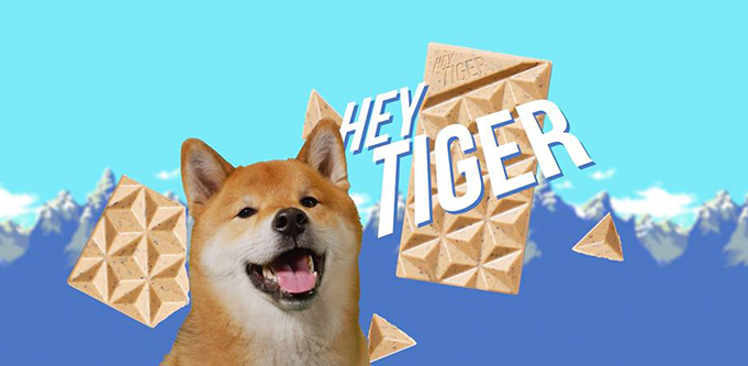 ‘Sold out in 18 hours’: Why ethical chocolate brand Hey Tiger teamed up with an Insta-famous shiba inu