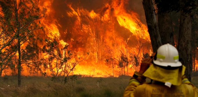 Fighting fire with tech: How holograms, AI and drones can aid bushfire prevention