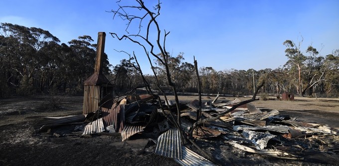 More than 700 applications, 147 approved: Bushfire-affected businesses left waiting for government grants