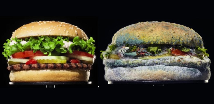 Will Burger King’s Whopper campaign pay off? Or will it decompose after a few weeks?