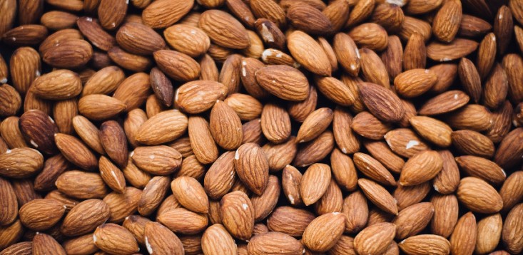 What's nut to like? South Australian almond farmers harvest a cracking crop as demand skyrockets