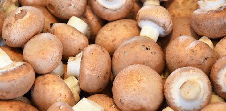 Labour hire company fined $22,440 for underpaying 80 vulnerable workers at Queensland mushroom farm