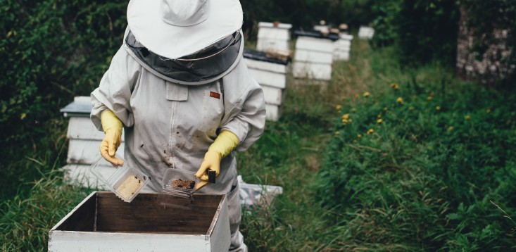 Beekeepers, dairy farms and fruit producers could be next in line for Chinese tariffs