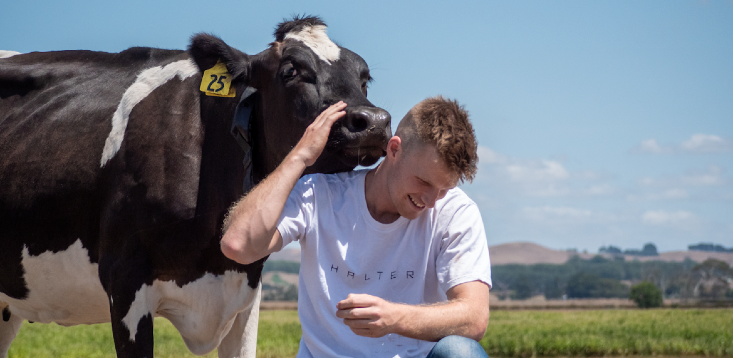 “If you’ve got a dairy cow, it should have a collar on it”: Halter bags $29 million for tech that gets heifers herding themselves