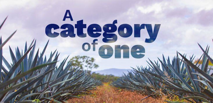 The ecosystem of small businesses helping bring Top Shelf’s global agave plans to life