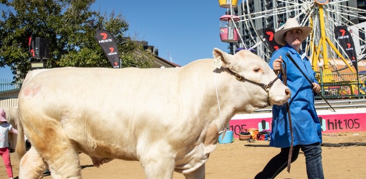 Cancellation of Brisbane Ekka leaves SME vendors footing the bill