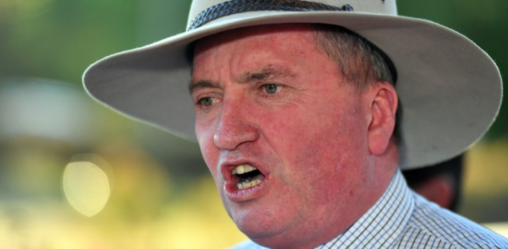 “We’ve solved global warming” claims Barnaby Joyce, as he blames decarbonisation for REDcycle collapse