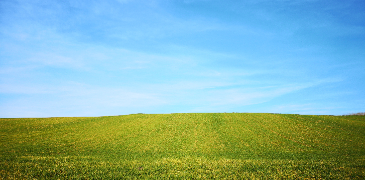 Windows XP’s 20-year success story is proof Microsoft shouldn’t fix what isn’t broken