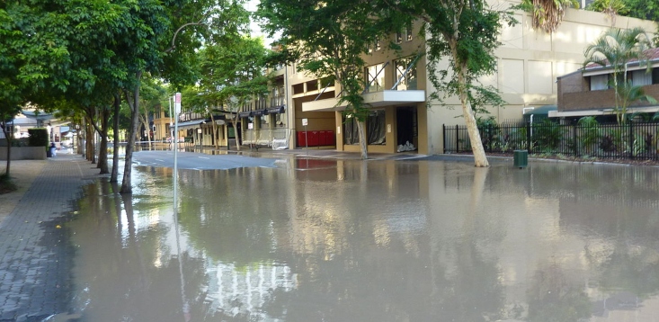 How Linktree is supporting flood-affected employees, and how to follow suit