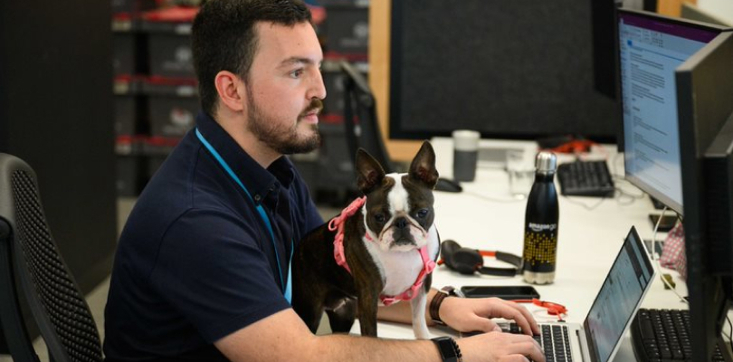 “Unexpected mechanism for connection”: Amazon Australia invites employees to bring dogs into the office