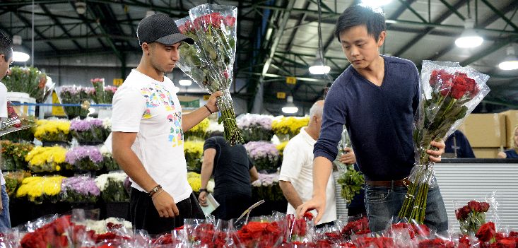 Buying flowers for Mother’s Day? Expect to pay more for less variety in 2022, wholesalers say