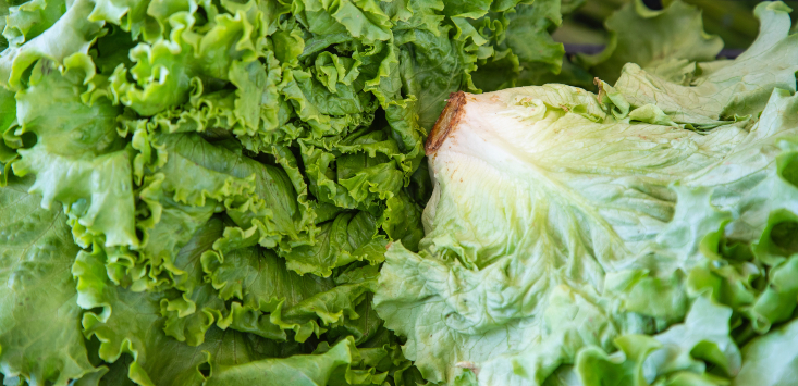 Why lettuce prices are so high, and why they might stay that way