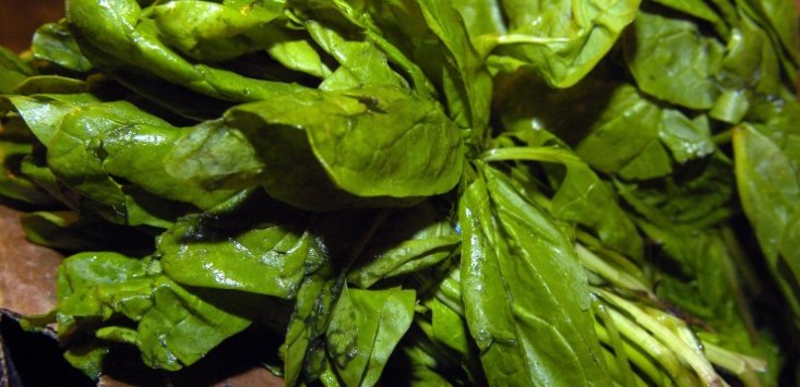 Toxic greens go national as recall issued on mixed lettuce said to cause hallucinations and delirium