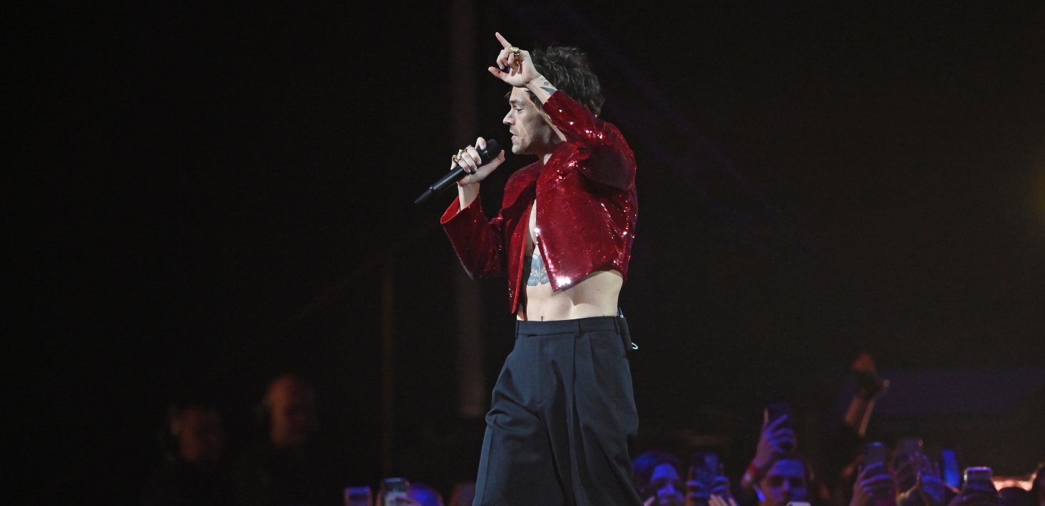 Harry Styles powers Bunnings’ marketing after ‘fan project’ hat goes TikTok viral