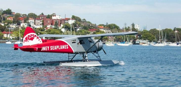 First electric plane to take off next year after Sydney Seaplanes scores $3 million grant from Albanese government