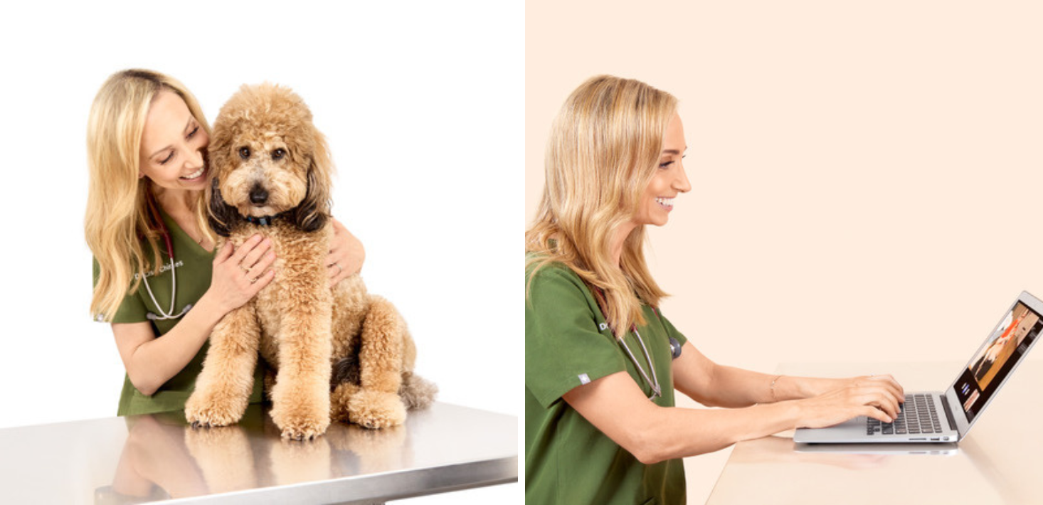 Celebrity vet launches telehealth subscription service for pet parents across Australia