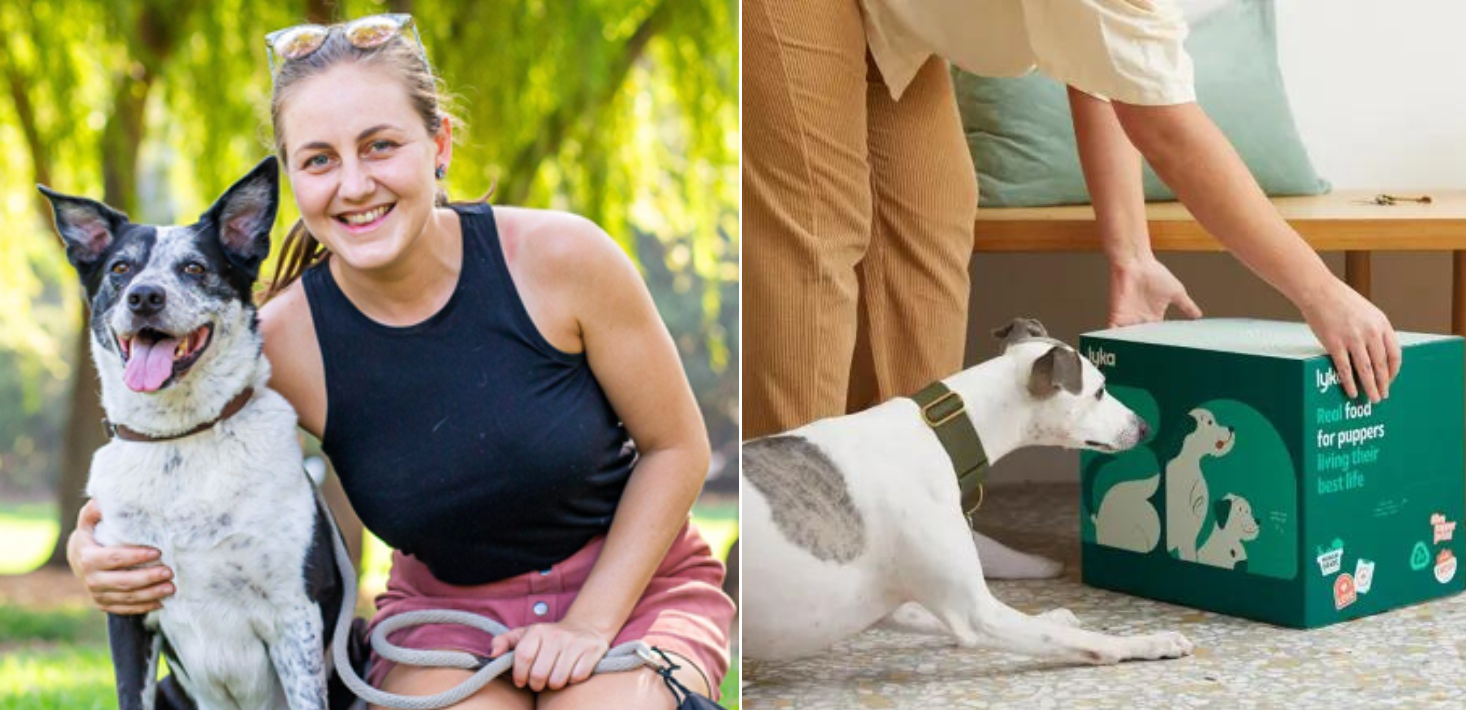 Pet food startup Lyka raises $25 million in follow-on funding pushing Series B to $55 million