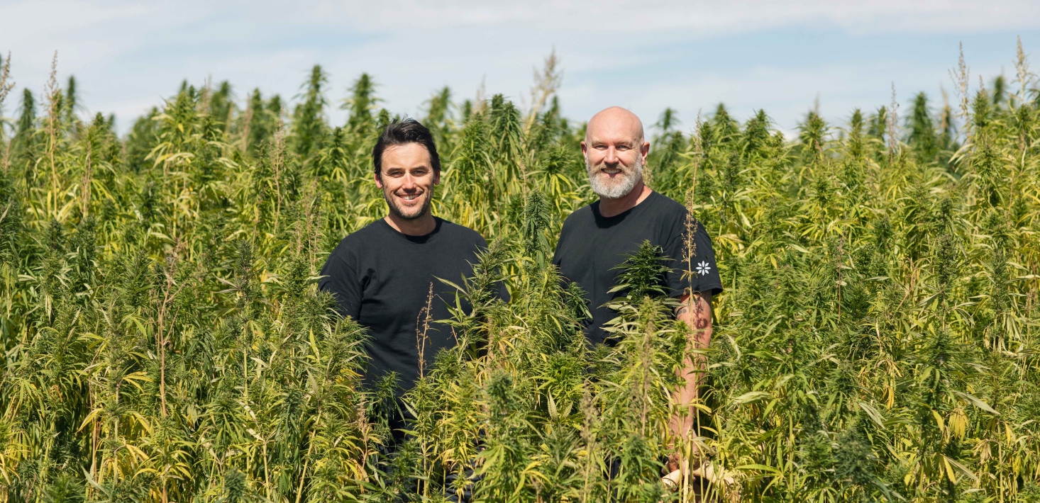 Australian medicinal cannabis firm Medigrowth plans new Geelong centre — and wants you to just call it ‘medicine’