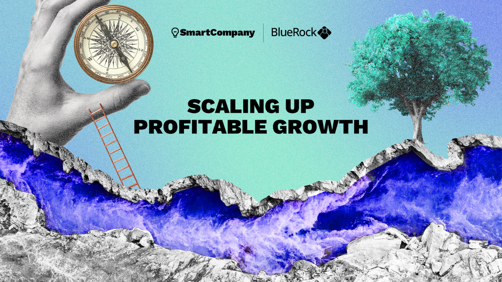 Scaling up profitable growth