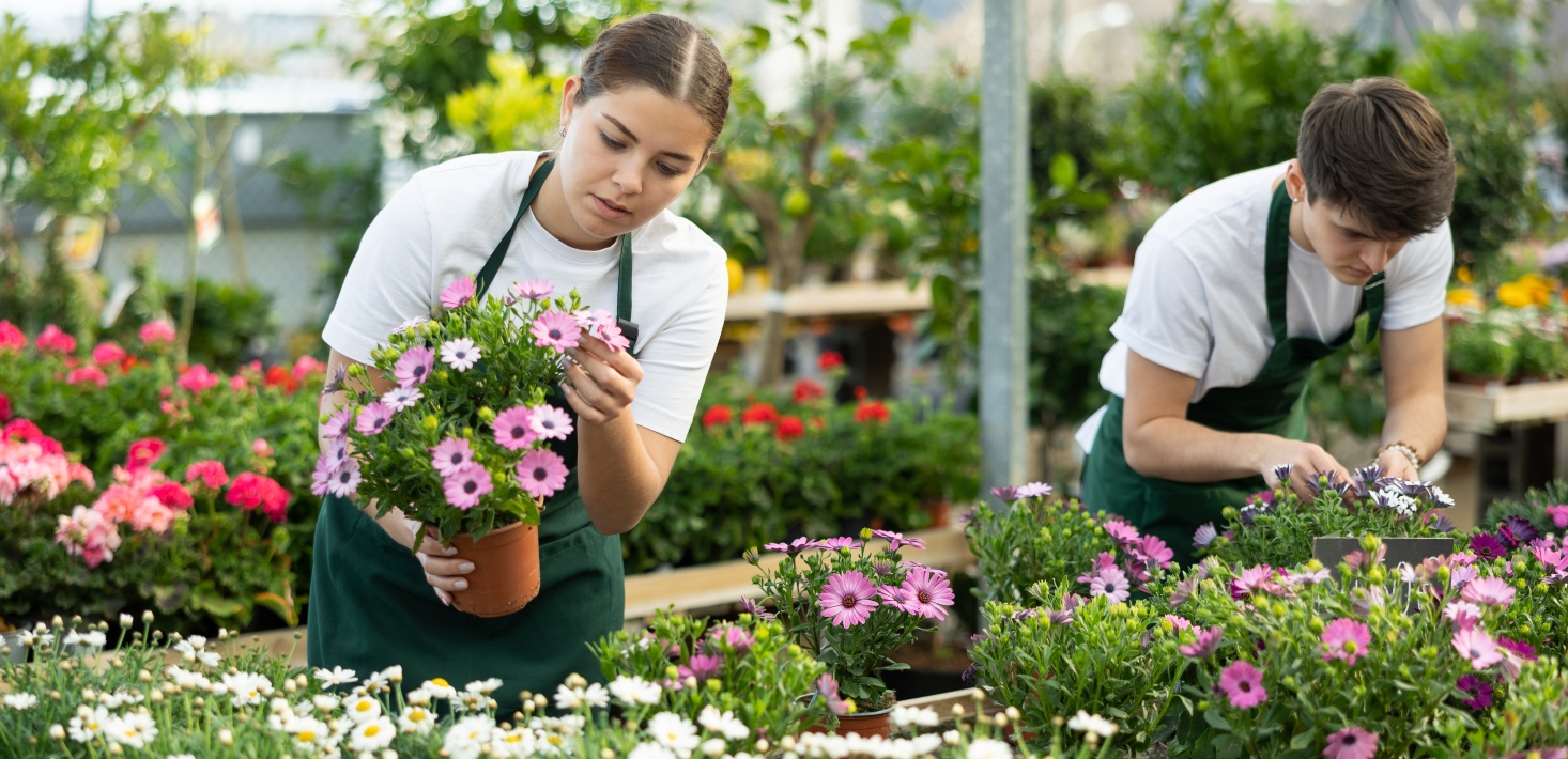 Slowing job market projected to hit young workers the hardest