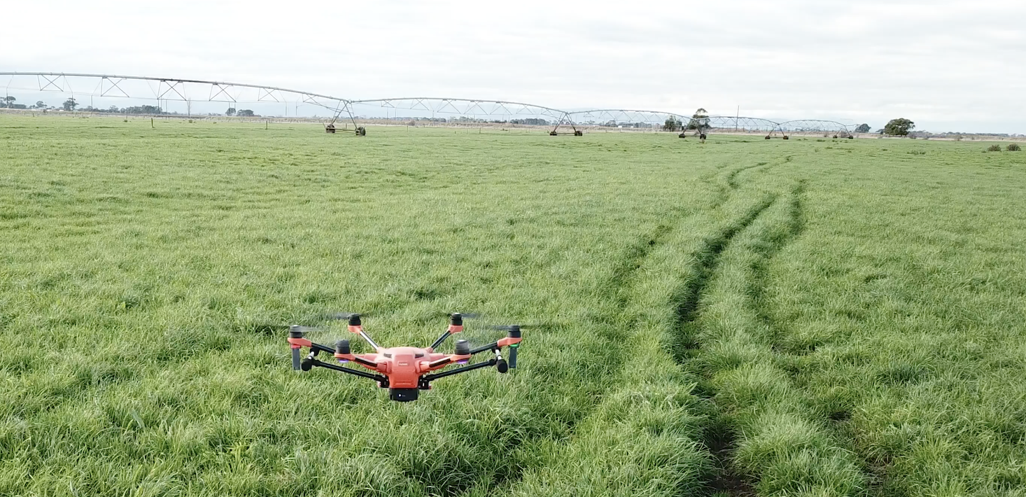 How Farm Automation’s drones and AI are saving dairy farmers' precious time