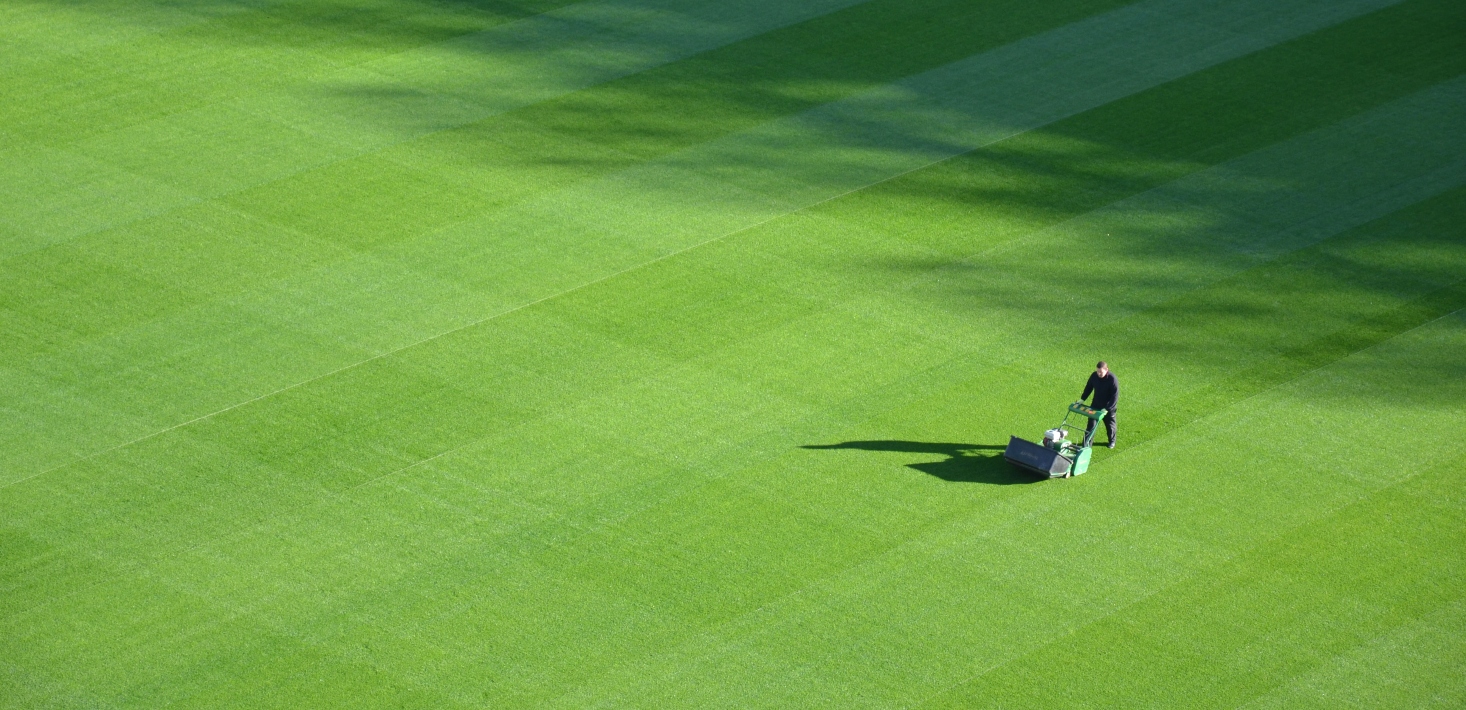 Landscaping or lawn mowing? How to get what you want when working with an agency