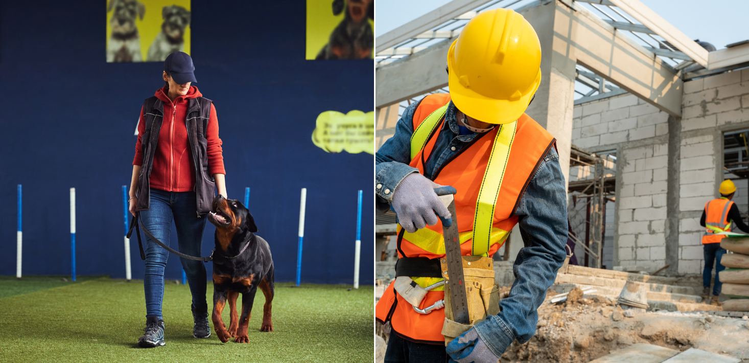 Dog handlers make skilled priority migration list, some tradies left out