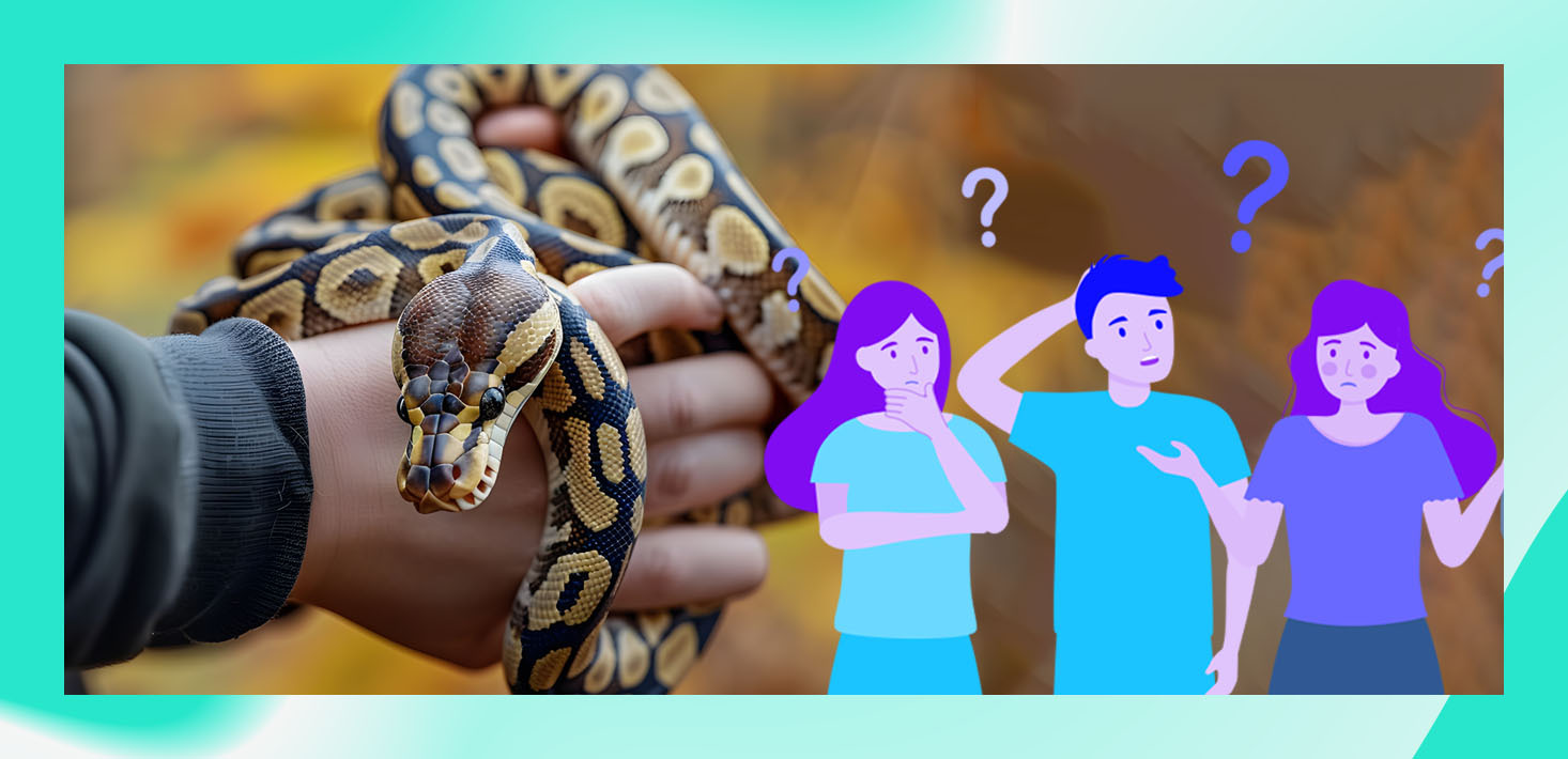 Live snakes and wasted money: Why most company off-sites don’t work